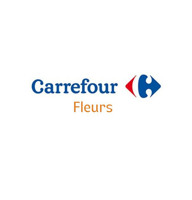 Carrefour Voyages Services centre commrercial Grand Quetigny